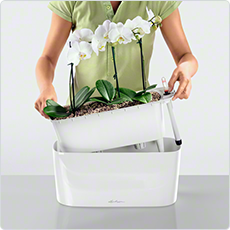 planter liner